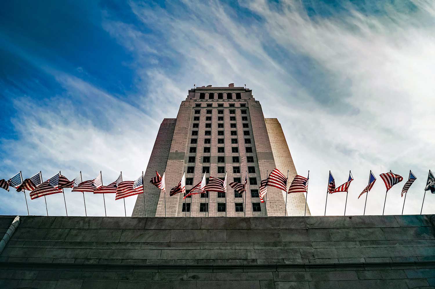 Government and Public Building Protection