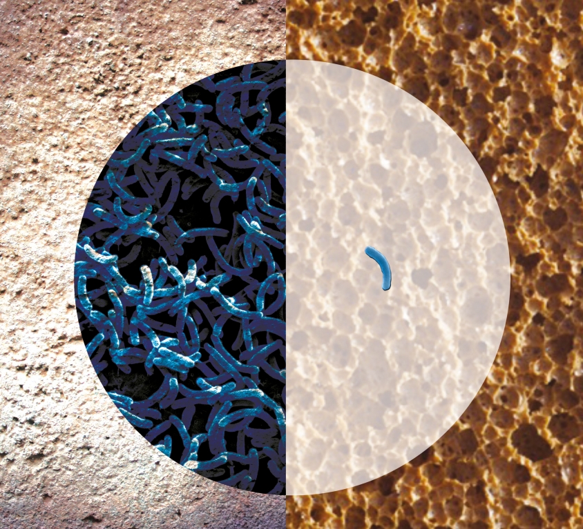 Defender Antibacterial Protection
